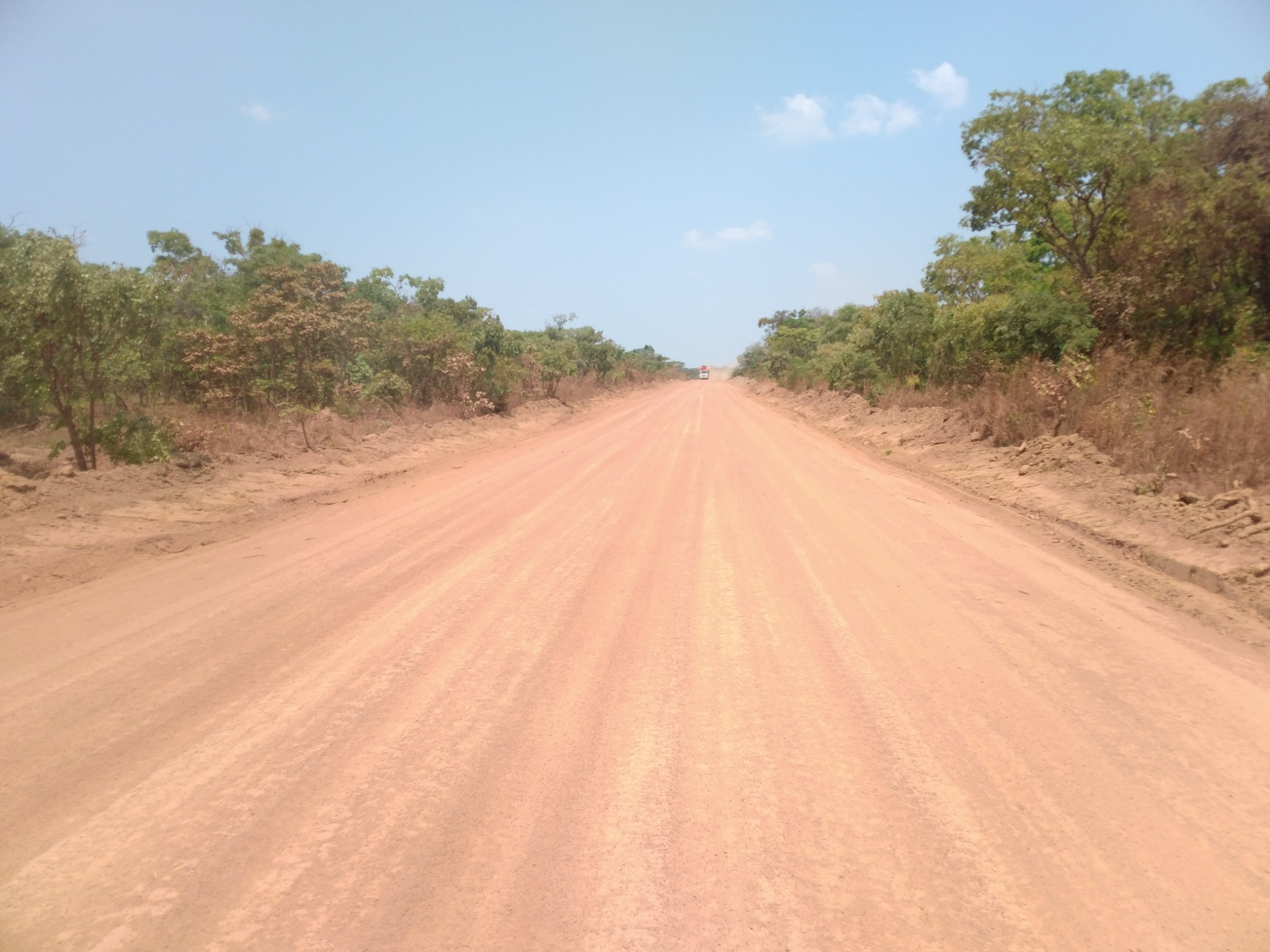 Chaussée et accotements en secteur boisé